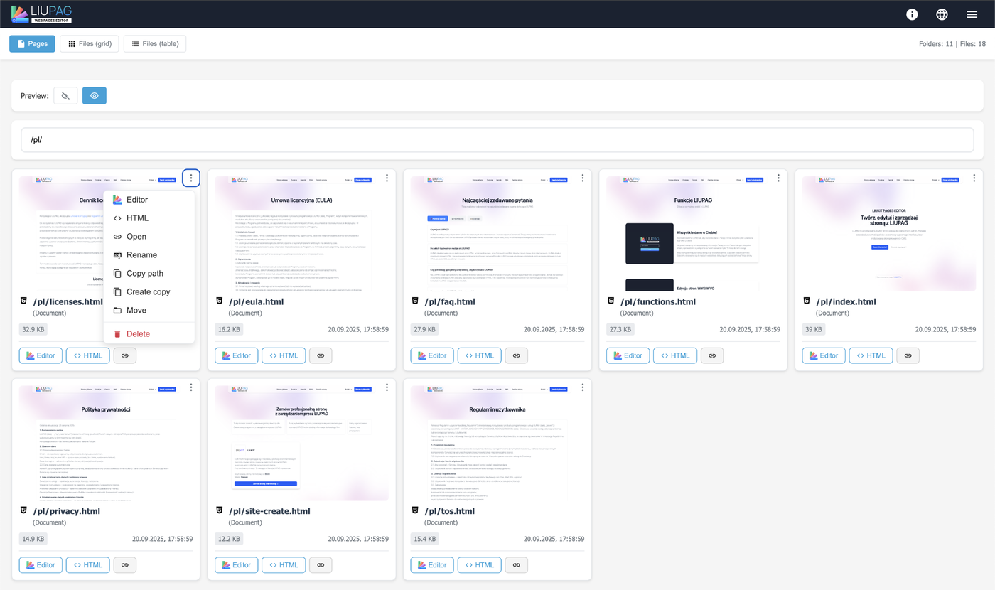 LIUPAG Interface 2